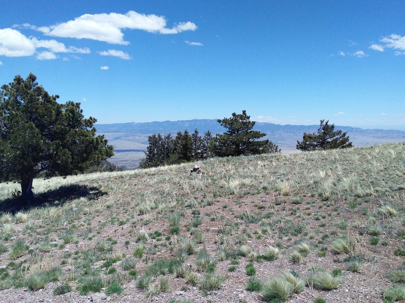 The view from the front door, looking East towards the Magdalena mountains